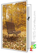 fall foliage, park bench